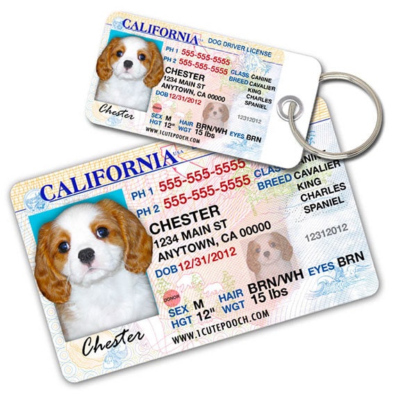 California Driver License Custom Pet ID Tags and Wallet Card