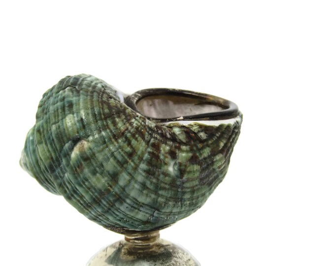 Vintage Sterling Silver Sea Shell Salt Open Cellar - One of a Kind Housewarming Gift Ideas - Fine Dining Table Decor Unique Gift Mom Teen