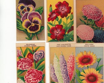 Vintage seed packets | Etsy