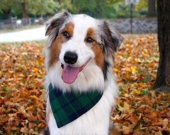Plaid Dog Bandana - Dog Bandana Snap - Dog Bandana Over the Collar - Gifts for Dog Moms - Pet Bandana - Dog Bandanna - Gifts for Dog Lovers
