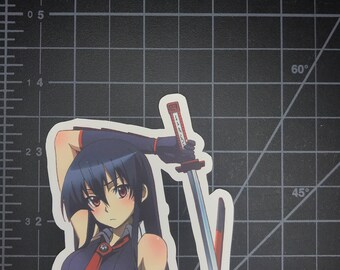 akame ga kill pop vinyl