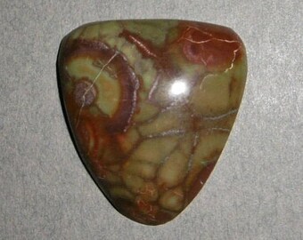 Spider Web Jasper Cabochon (28X25X6)