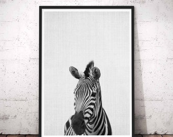 Nursery Print Zebra, Nursery Art Zebra, Zebra Nursery Print, Zebra Print Wall Art, Zebra Nursery Decor, Zebra Printable Art, Printables
