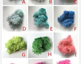 1 Bag ( 5 g ) Mini Dying Dry Moss/glass ball rings/glass ball pendant/glass ball earrings