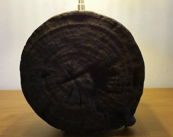 Beautiful round Driftwood lamp