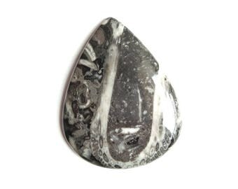 Mexican Black Fossil Jasper Gemstone Pear Cabochon Designer Loose Jasper Gemstones 43x34x6 mm 62 Cts Semi-Precious Gemstone