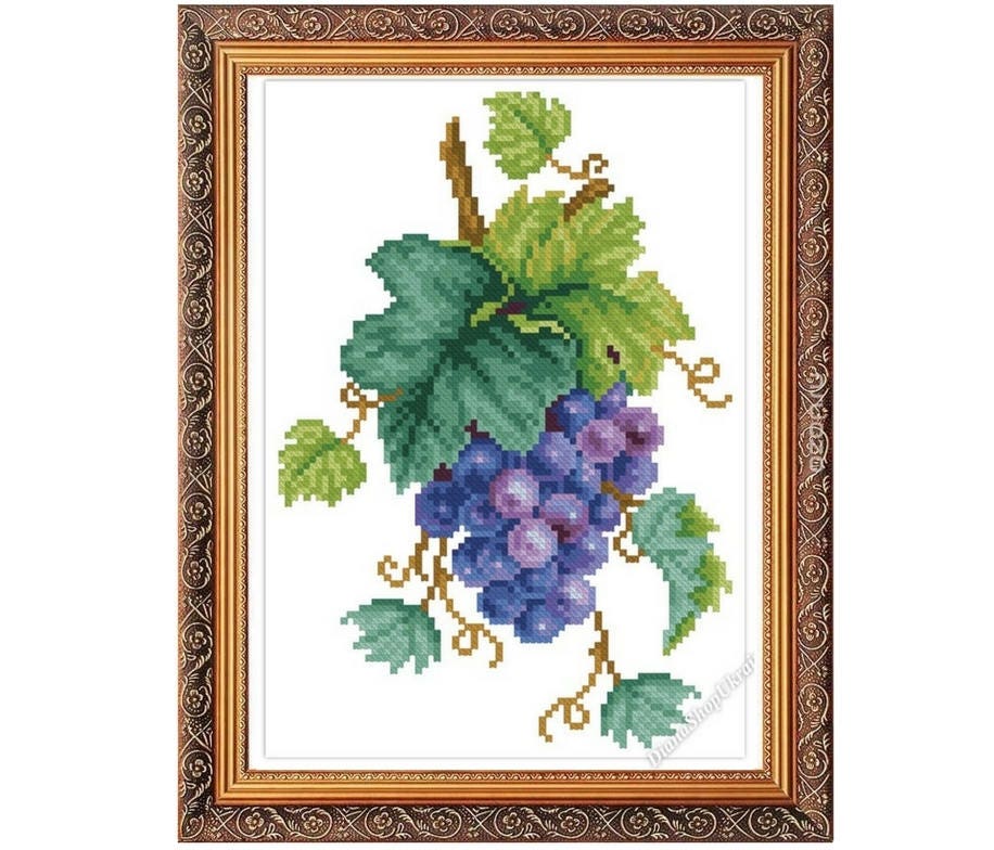 Grapes Cross Stitch Pattern PDF Instant download Pattern PDF for