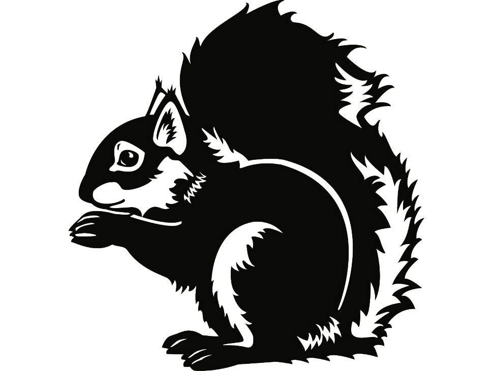 Download Squirrel #1 Wildlife Animal Pet Rodent Forest Flying Logo ...
