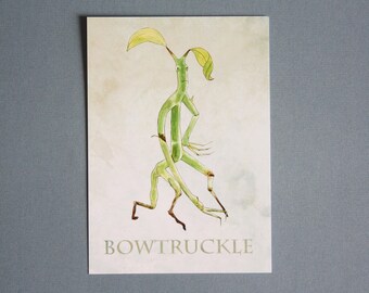 Art drawing print, Harry Potter, Postcard, illustration browtruckle pickett fantastic beast fantastic animals