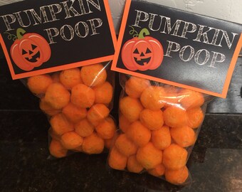 Pumpkin poop | Etsy