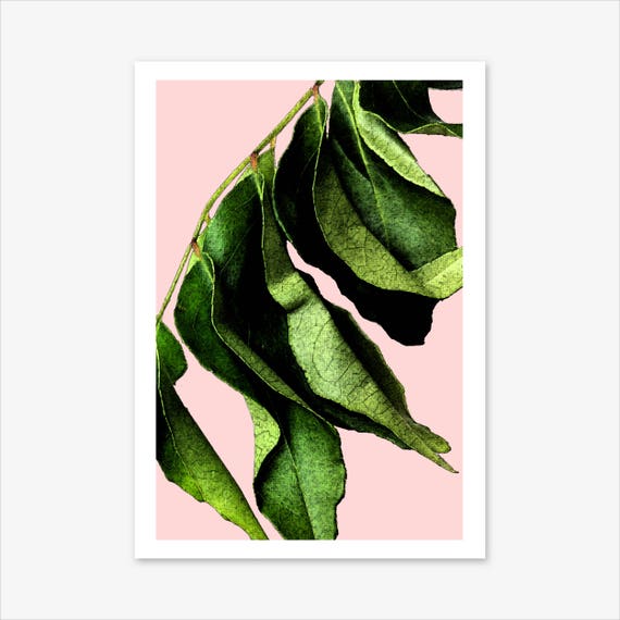 Leaf Print Botanical Print Botanical Art Nature Print