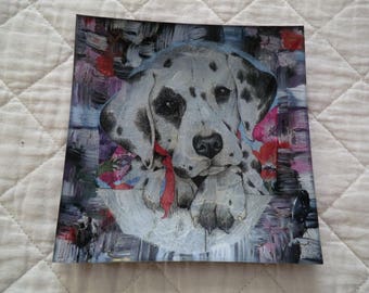 Plate glass or empty Pocket "Dalmatian"