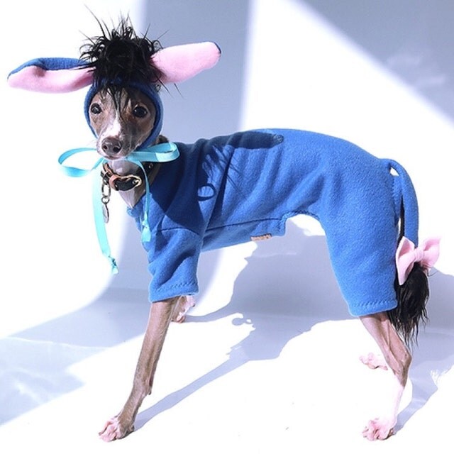 Dog Dress Dog Harness Dress Dog Clothes for Small Dog