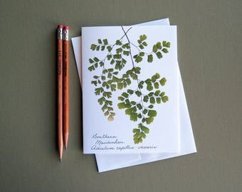 Southern Maidenhair fern card, pressed fern card, green ferns, botanical card, card for a gardener, greeting card no.1180