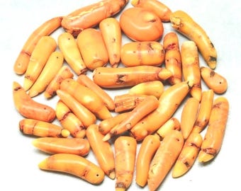 17 CORAL Seeds Beads 40/17mm - COD0915