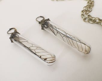 Real Cicada Wing Earrings // Ethically Sourced