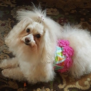 Buyer photo Melanie Bradley, who reviewed this item with the Etsy app for Android.