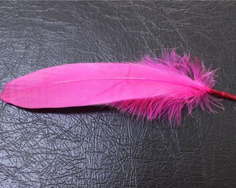 10 feathers Fuchsia color for your creation