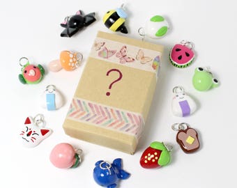 Mystery Charm Box! - Polymer Clay Charms - Mystery Box - Charm Grab Bag - Lucky Pack - Cell Phone Charms - Polymer Clay Jewelry