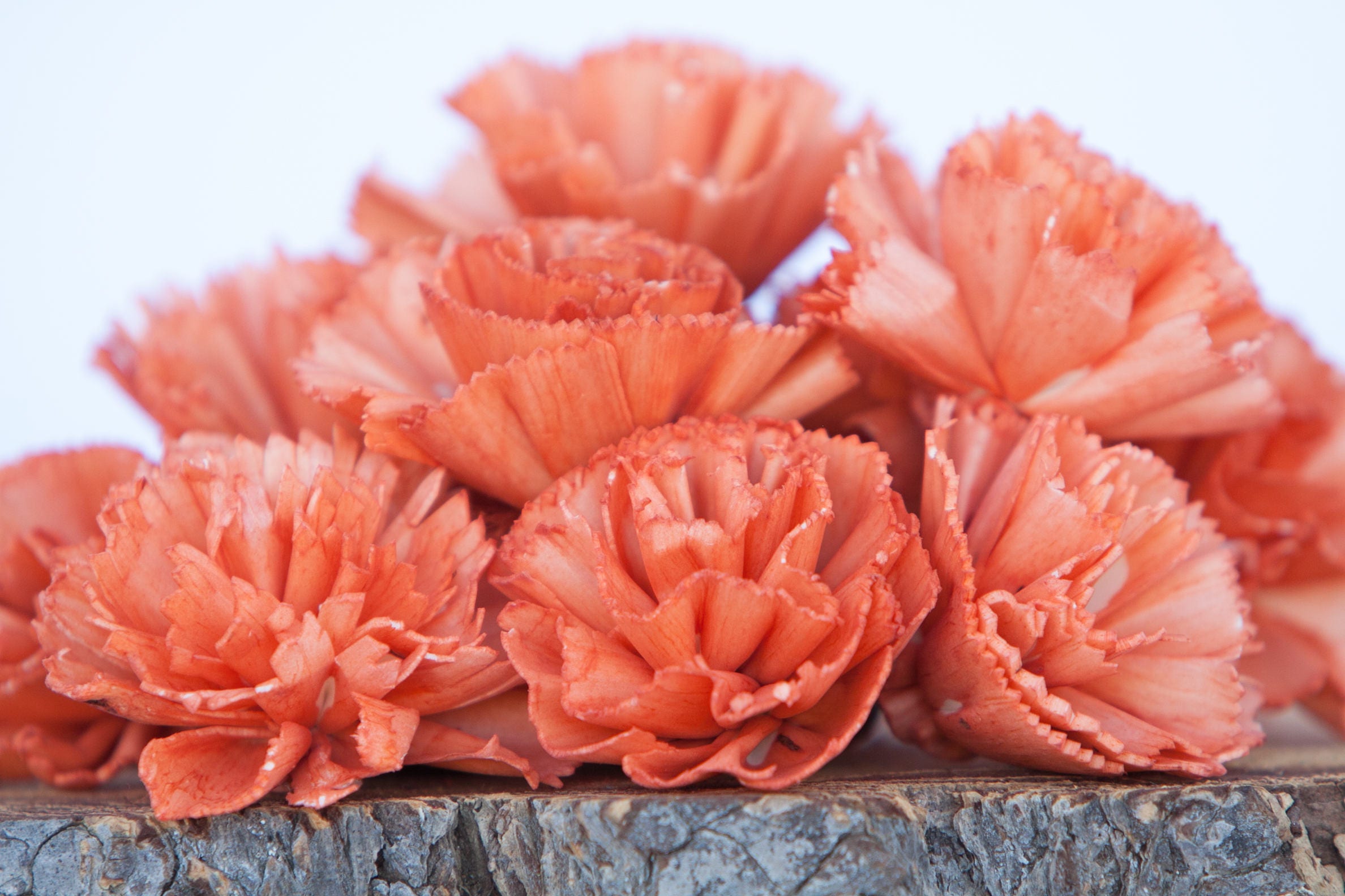 Orange Carnation Sola Flowers SET OF 10