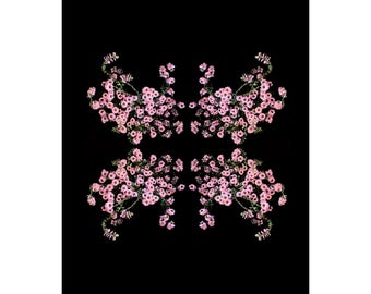 Limited Edition Fine Art Print-Flowers-Floral-Florography-Modern Art-Pink-Black-Flower-Abstract-Nature-Minimalist-Minimal-Interior Design