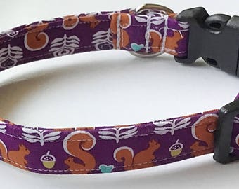 Squirrels and Acorns Buckled or Martingale Collar for Dogs and Cats