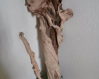 Driftwood, beautiful branch decor, nature