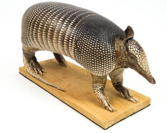 stuffed armadillos