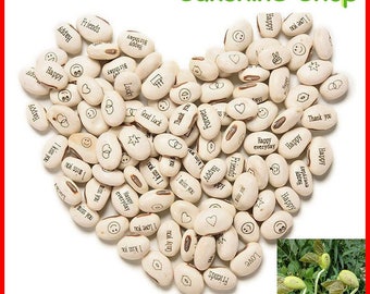 Novel Easy Grow 20/PCS Bonsai Magic Beans Seeds English Message Growing Green Home Decoration