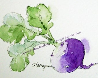 Original Watercolor Painting Turnip Vegetable Veggie Garden Still Life ACEO Kitchen Art