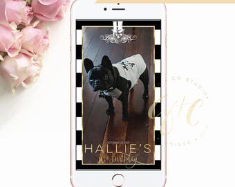 Halloween Party Birthday Geofilter - Halloween Birthday filter - Modern - Costume Party - Gibb Co Studio - TK_A165