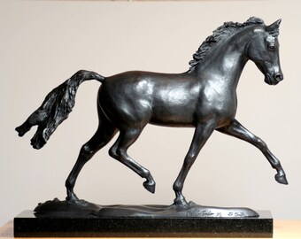 The Contender - Bronze Dressage horse