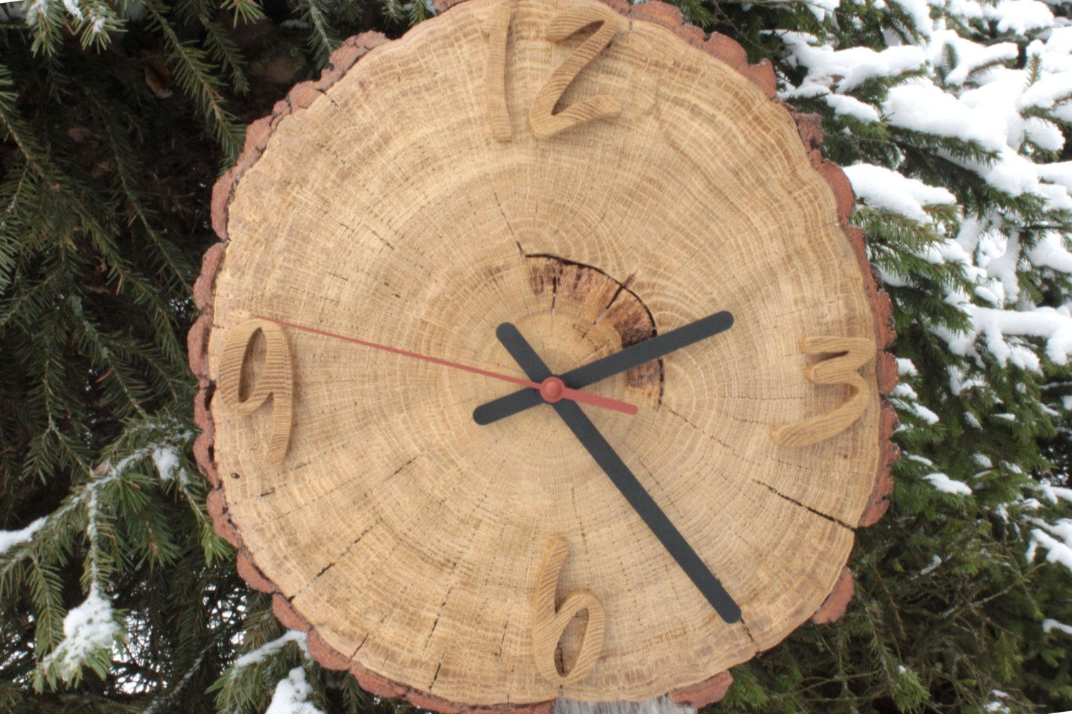 large Oak natural clock / wood slice art / clock with numbers