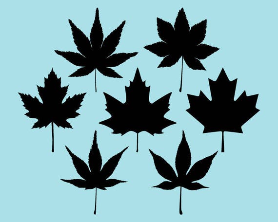 Download SVG DXF PNG Cut Files Silhouette Maple Leaf Cutting File