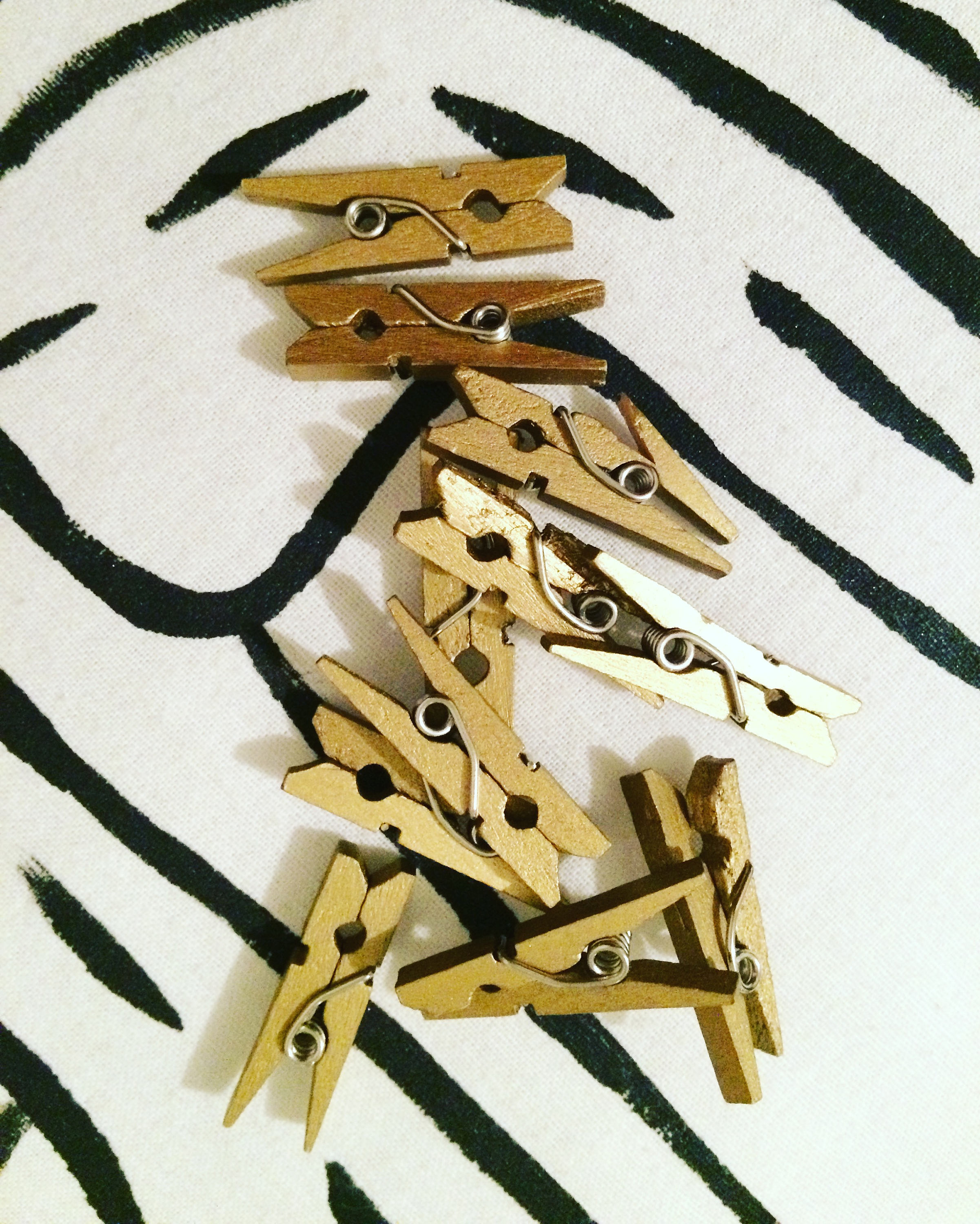 Rustic Clothespins / Painted and Stained / Tiny and mini