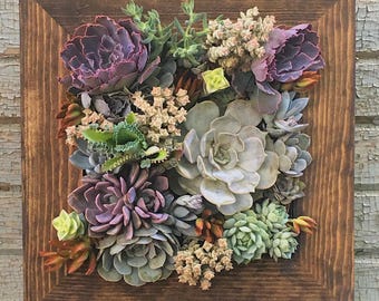 12" Living Wall Succulent Planter Vertical Hanging Garden Art Rustic Wood Arrangement Flower Bouquet Gift