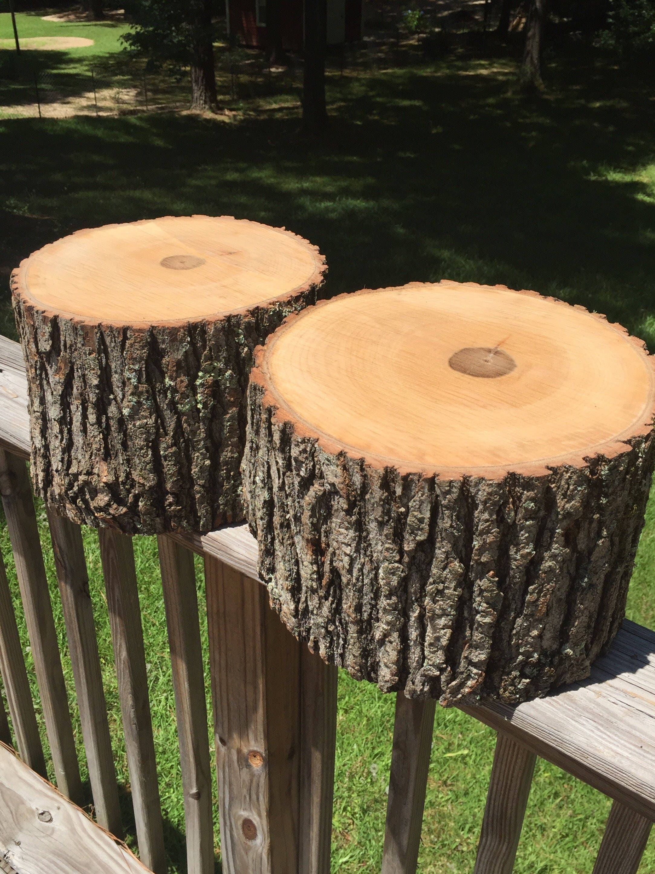 Product display wood logs. Wood logs wood stumps tree logs