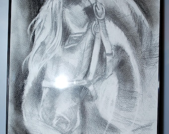 Original Pencil Drawing. Horse.Signed. Framed