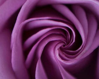 Purple Flower Wall Art flower wall art | etsy Purple Flower Wall Art flower wall art | etsy