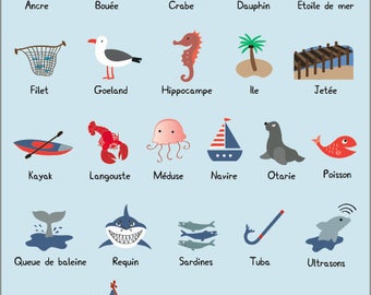 Deco poster marine imagier baby room