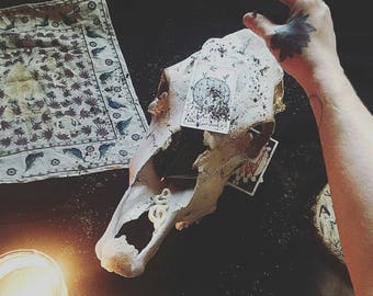 One-on-One Path Guidance Witchcraft, Magick