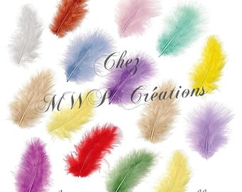 Assortment of marabou feathers