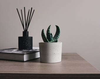 Concrete vase | Etsy