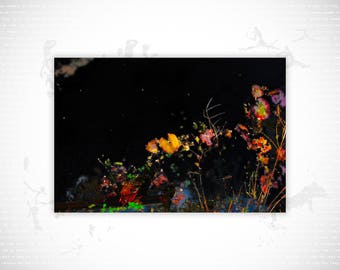 Limited Edition Fine Art Print | Afterglow #16