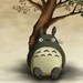 Totoro Buka
