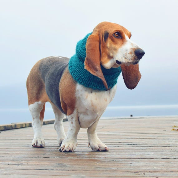 Basset Hound Snood Knit Dog Snood Snood for dogs Dog lover