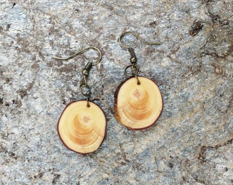 Salvaged Pine Earrings, Wood Dangle Earrings, Boho Earrings, Rustic Tree Slice Earrings