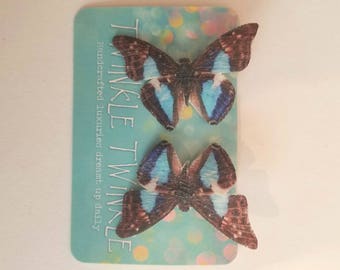 1 Pair Brown Light Blue White Silk Butterfly Hairclips