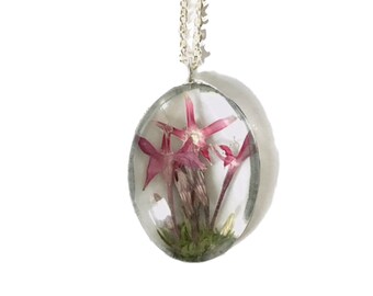 Real Pressed Flower Pink Fairy Necklace Preserved in Oval Bubble Glass