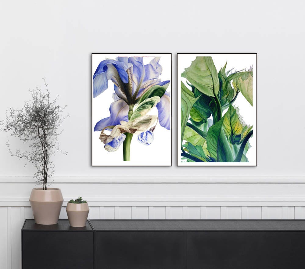 Blue Iris Art Print Large Botanical Print Wall Decor Office